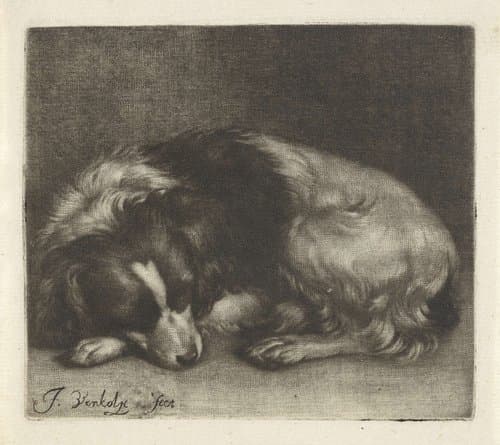 Slapende hond, mogelijk een spaniël by Jan Verkolje (I)
