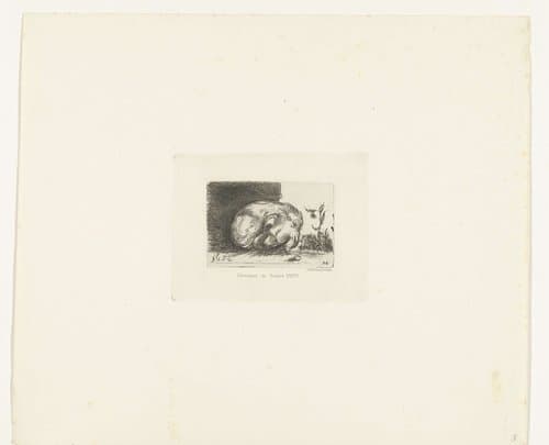 Slapend hondje by Johannes Arnoldus Boland