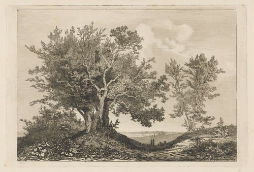 Landweg tussen de twee boompartijen by Martinus Antonius Kuytenbrouwer jr.