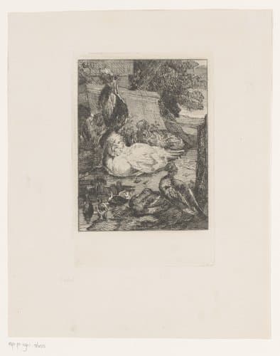 Kippen, eenden en een haan by Edmond Lambrichs