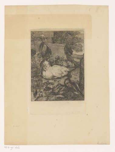 Kippen, eenden en een haan by Edmond Lambrichs