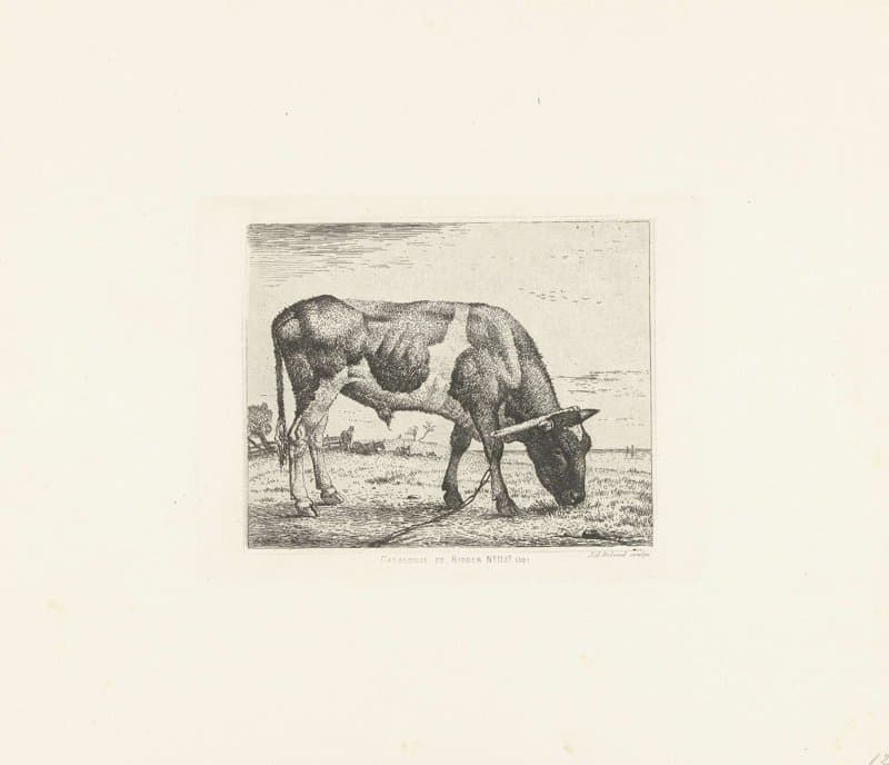 Staande stier by Johannes Arnoldus Boland