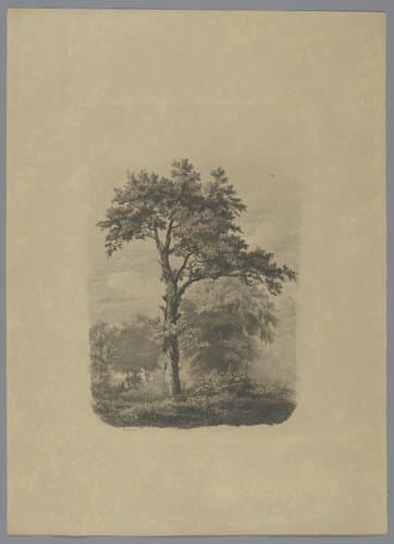 Vrijstaande loofboom in landschap by Pierre Louis Dubourcq