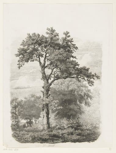 Vrijstaande loofboom in landschap by Pierre Louis Dubourcq