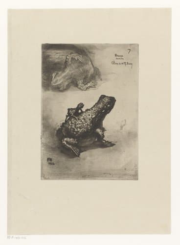 Japonisme. Dix Eaux-Fortes by Félix Hilaire Buhot