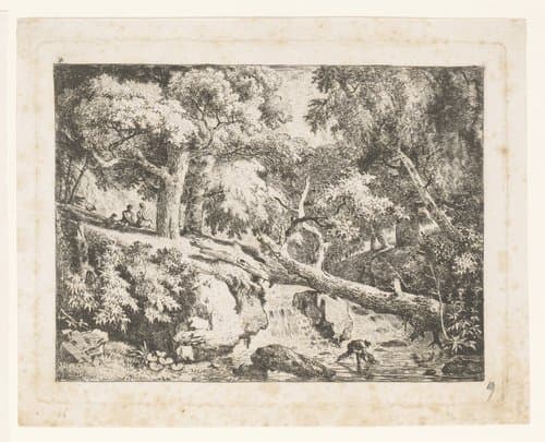 Landschap met boomstam over een waterval