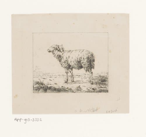 Schaap by Auguste Herman Marie De Noter