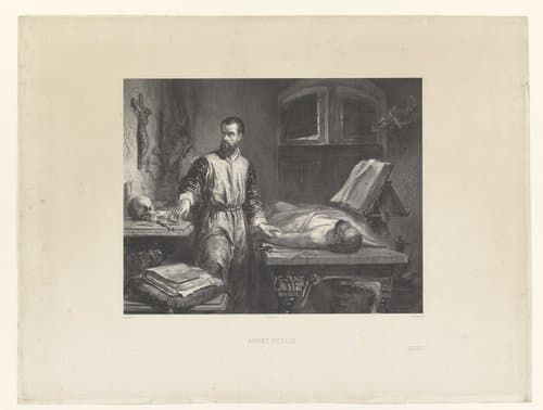 Andreas Vesalius in zijn werkkamer by Adolphe Mouilleron