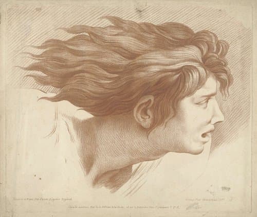 Hoofd van man met wapperend haar by Gilles Demarteau