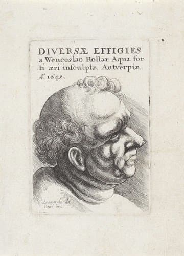 Diversae Effigies by Wenceslaus Hollar