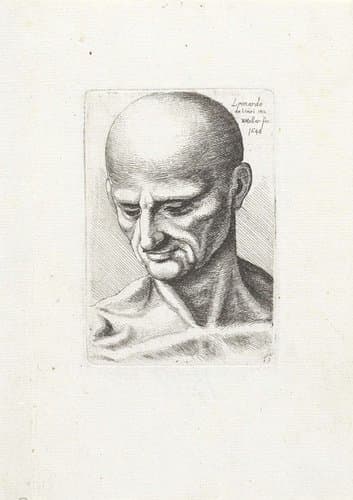 Hoofd en nek van een pezige kale man by Wenceslaus Hollar