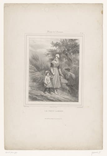 Musée de l'amateur