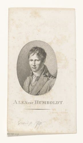 Portret van Alexander von Humboldt by A. Burckhardt