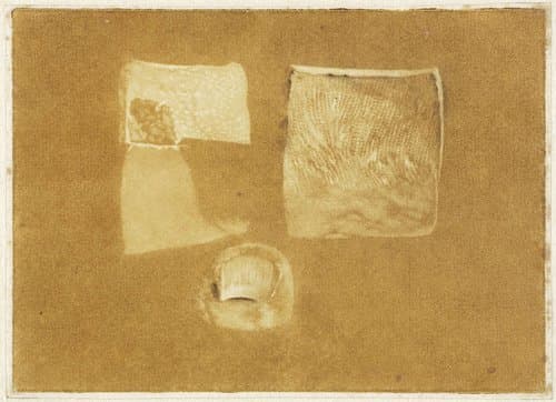 Anatomische studie van menselijke huid en nagel by Jan l'Admiral