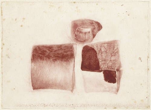 Anatomische studie van menselijke huid en nagel by Jan l'Admiral