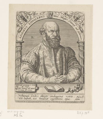 Adamus Lonicerus Med. Phiisic' Francf. ad Moenum. by Robert Boissard