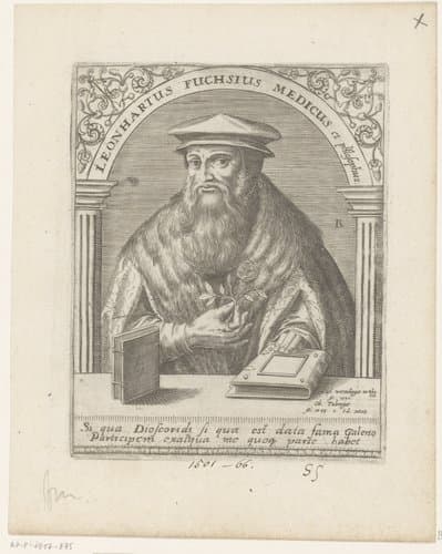 Portret van Leonhart Fuchs by Robert Boissard