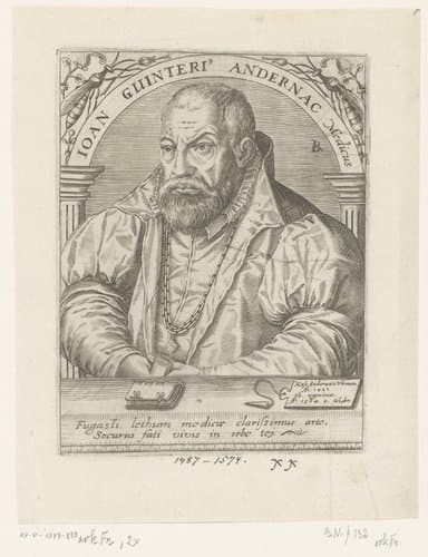 Joan Guinteri' Andernac Medicus