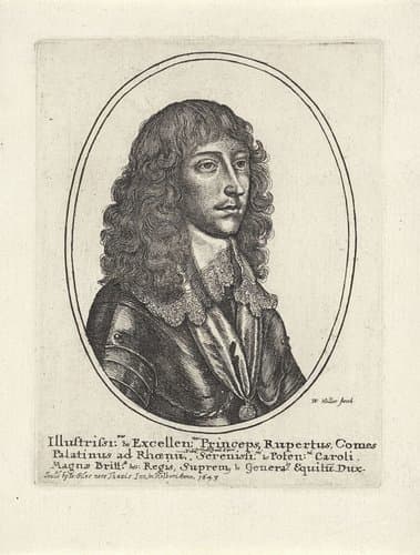 Portret van Prins Ruprecht van de Palts by Wenceslaus Hollar