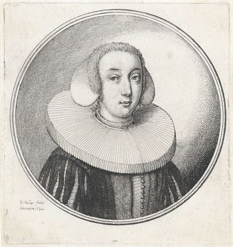 Vrouw met plooikraag by Wenceslaus Hollar