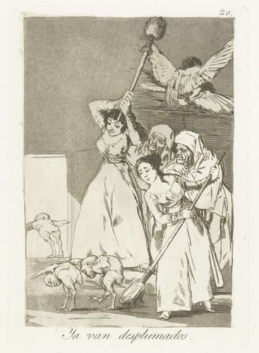 Daar gaan zij geplukt by Francisco de Goya