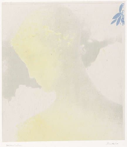 L'Album d'estampes originales de la Galerie Vollard by Odilon Redon
