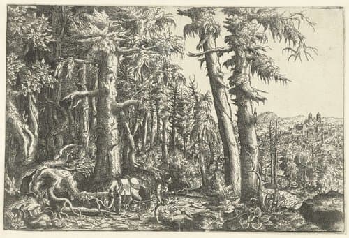 RP-P-1922-73