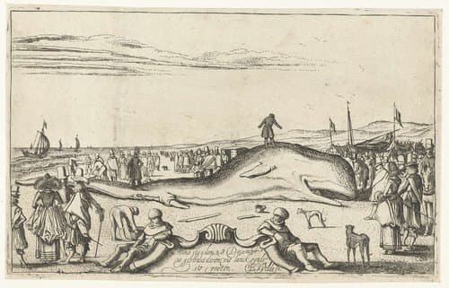 Gestrande walvis op het strand te Noordwijk by Esaias van de Velde