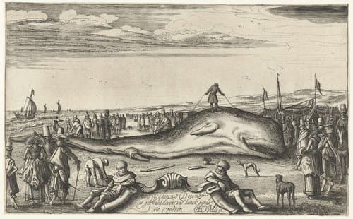 Gestrande potvis op het strand te Noordwijk, 1614 by Esaias van de Velde