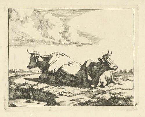 Twee liggende koeien by Marcus de Bye