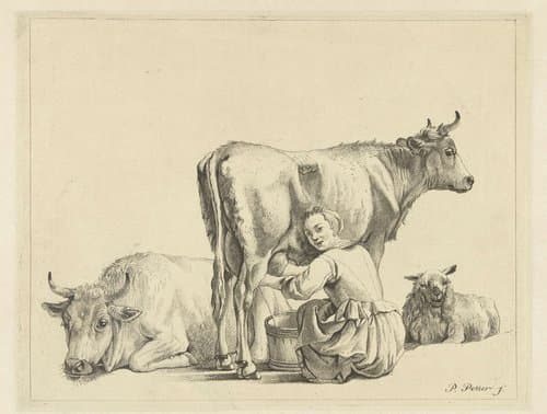 De jonge dief by anonymous