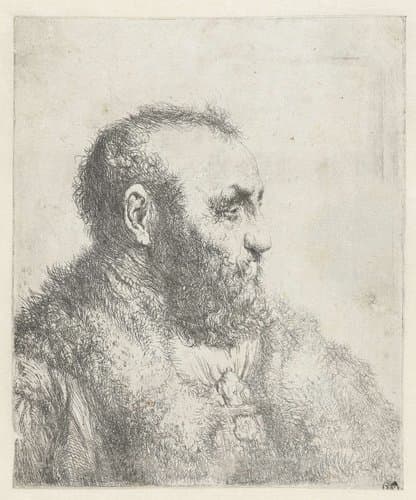Borstbeeld van een oude man met bontjas by Jan Lievens