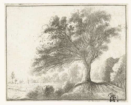 Landschap met grote boom by Gilles Neyts
