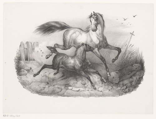 Merrie met veulen in galop by Victor Adam