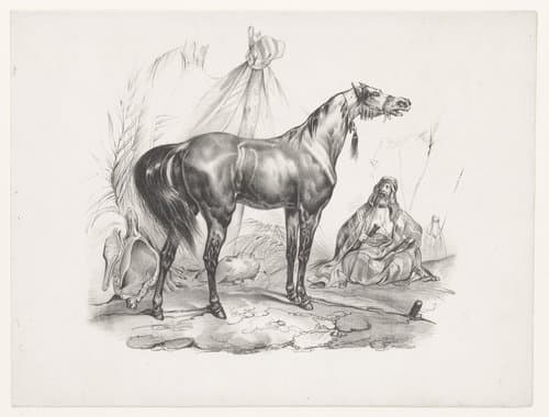 Arabisch paard by anonymous