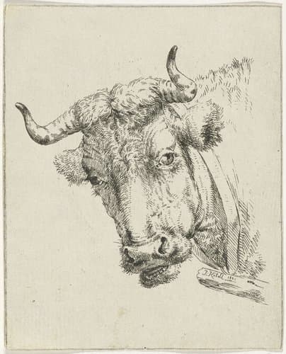 Portrait of Jan Kobell (II)