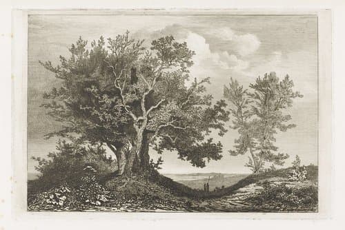 Landweg tussen de twee boompartijen by Martinus Antonius Kuytenbrouwer jr.