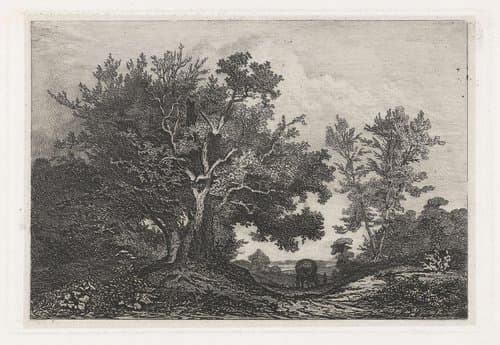Landweg tussen de twee boompartijen by Martinus Antonius Kuytenbrouwer jr.