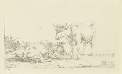 Koeien in een landschap