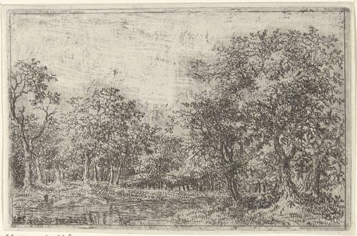 Landschap met een plas by Johan de Lagoor