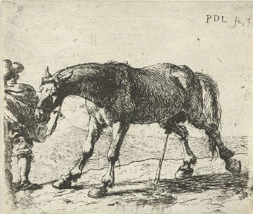 3/6 by Pieter Bodding van Laer