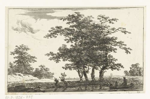 Zwaar geboomte aan een plas by Hermanus van Brussel