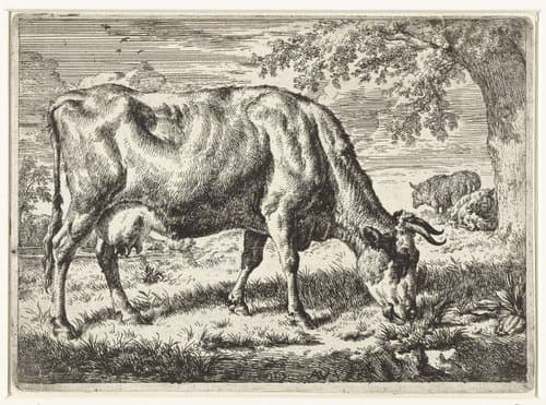 Koeien en schapen by Adriaen van de Velde