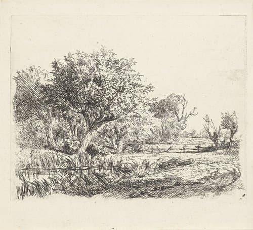 Wilgen bij een poel by Adrianus van Everdingen