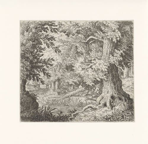 Beekje in het bos by Allaert van Everdingen