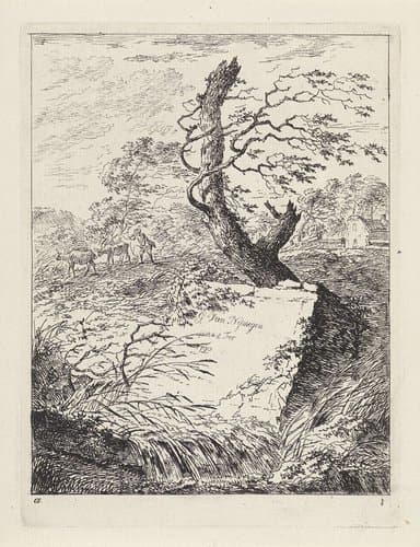Steen bij een boom by Gerard van Nijmegen