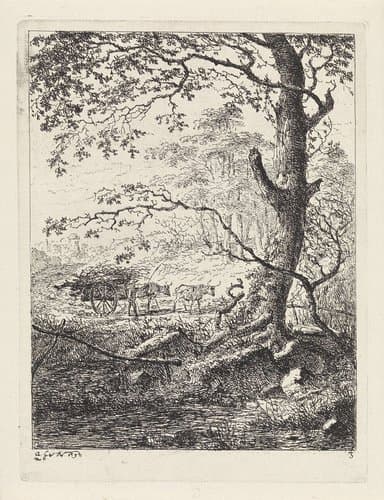 Landschappen (serie A) by Gerard van Nijmegen