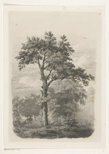 Vrijstaande loofboom in landschap by Pierre Louis Dubourcq
