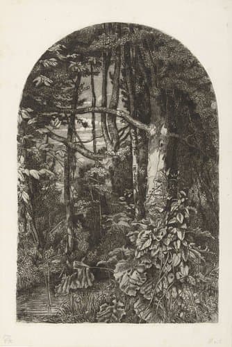 Bos met beek by Jacobus Ludovicus Cornet