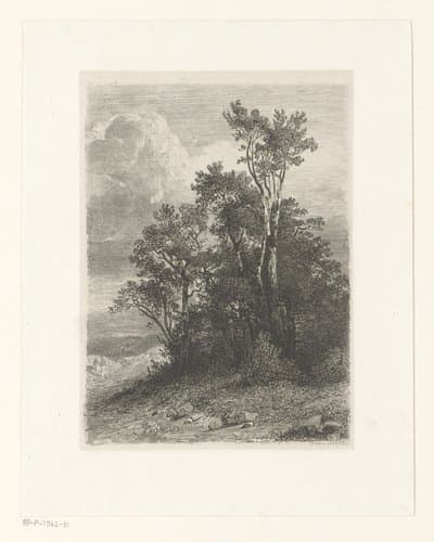 Essais de gravure a l'eau forte by Alexandre Calame